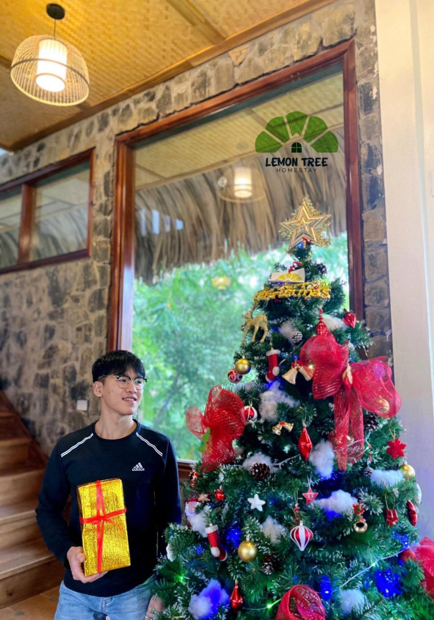 Lemon Tree Homestay Tam Coc Ninh Binh Zewnętrze zdjęcie
