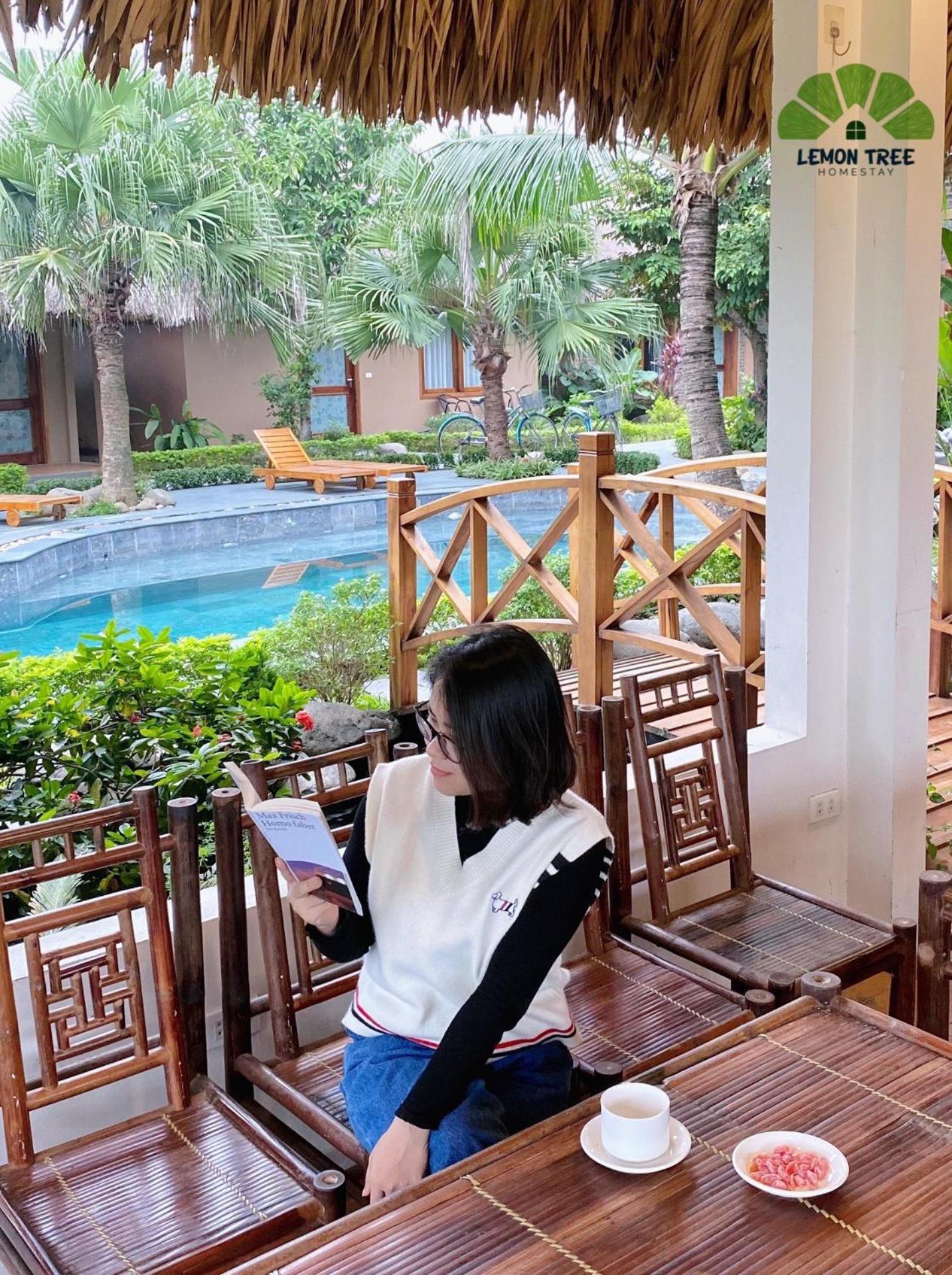 Lemon Tree Homestay Tam Coc Ninh Binh Zewnętrze zdjęcie