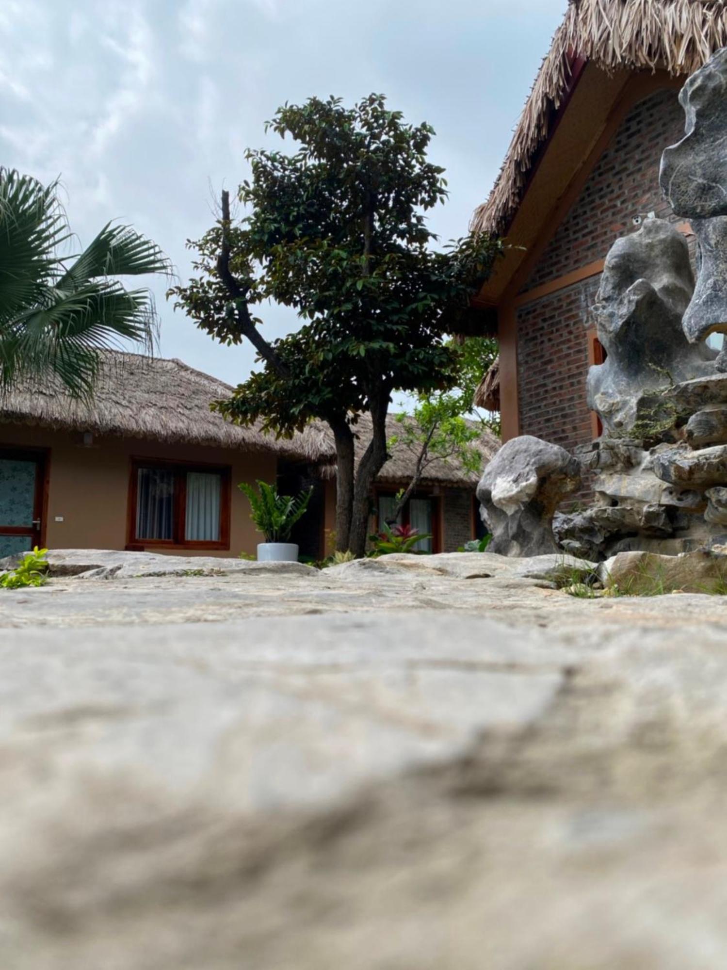 Lemon Tree Homestay Tam Coc Ninh Binh Zewnętrze zdjęcie