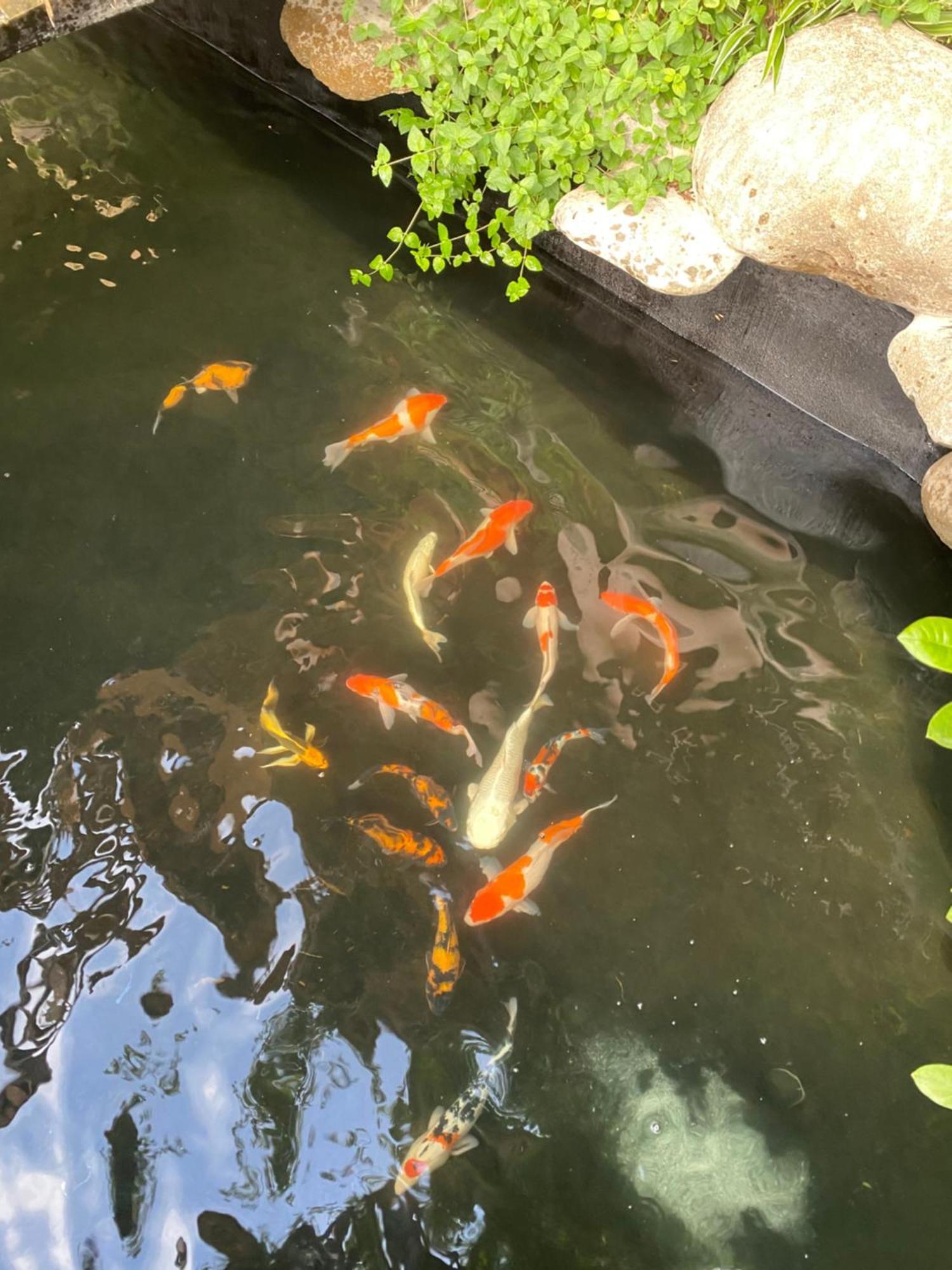 Lemon Tree Homestay Tam Coc Ninh Binh Zewnętrze zdjęcie